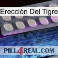 Erección Del Tigre 34